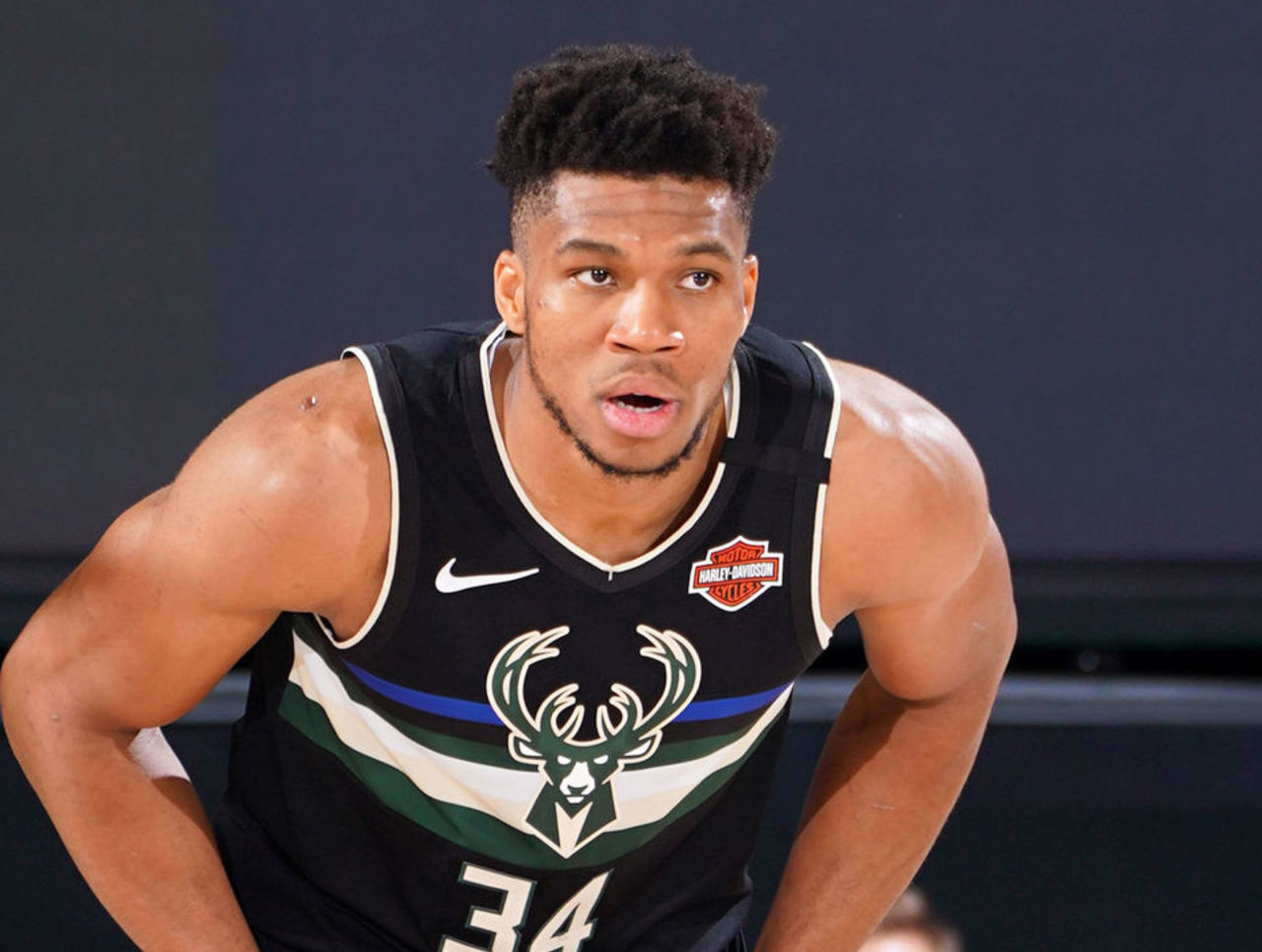 期待这个新 期待这个新