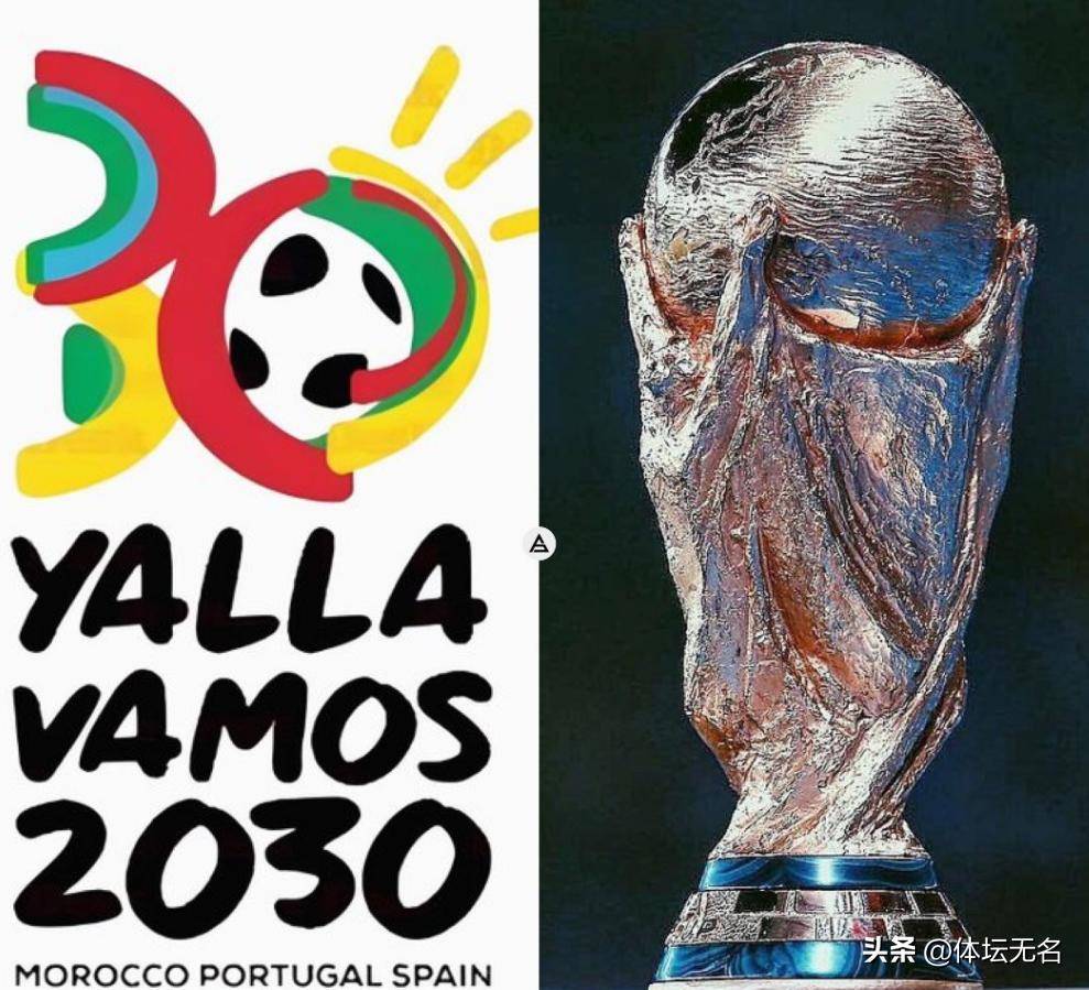 在球场上 在球场上