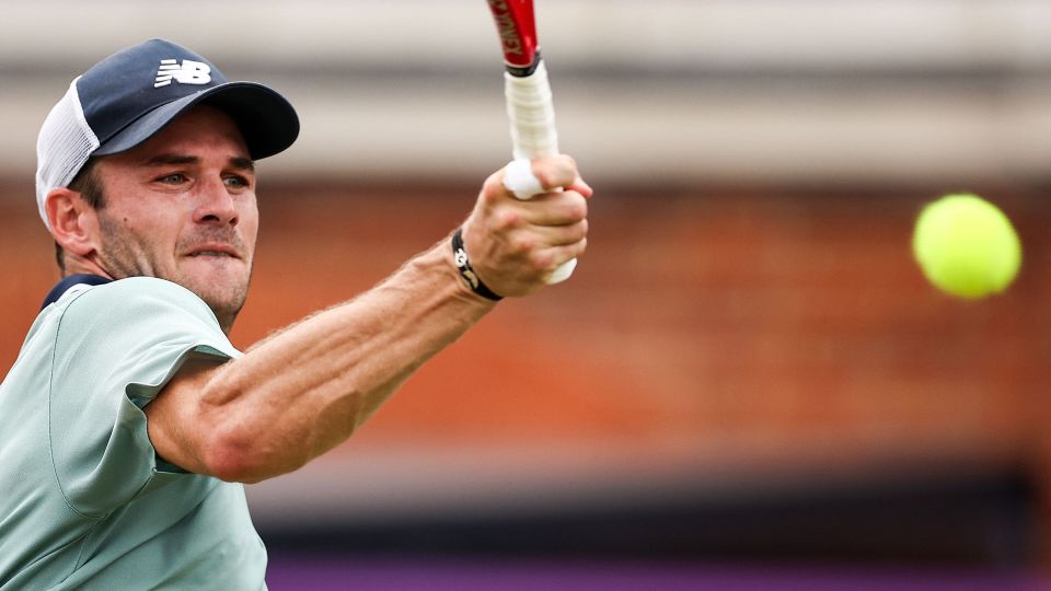 很多球迷可 很多球迷可