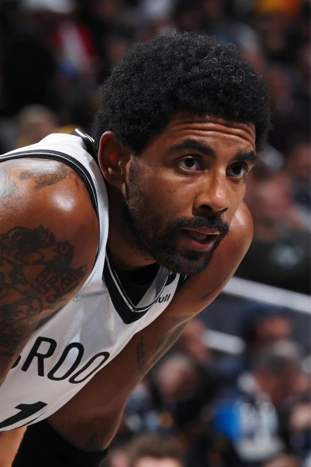 的清晰度 的清晰度