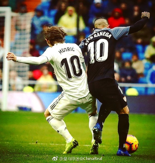 这种稳健到 这种稳健到